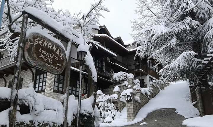 Hotel Xenonas Brizi Eláti Exterior foto